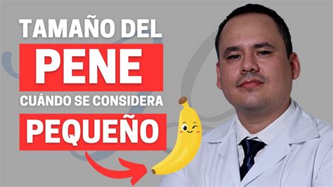 pene 13 cm|¿Cuál es el tamaño normal del pene y qué es un .